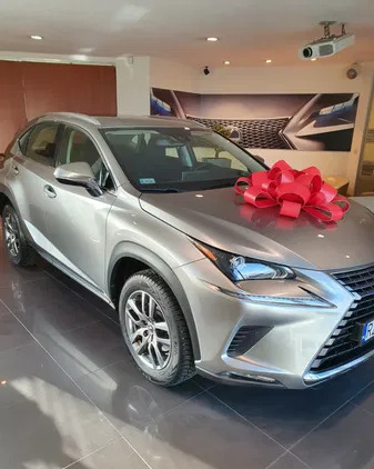 lexus Lexus NX cena 139500 przebieg: 20800, rok produkcji 2019 z Tyczyn